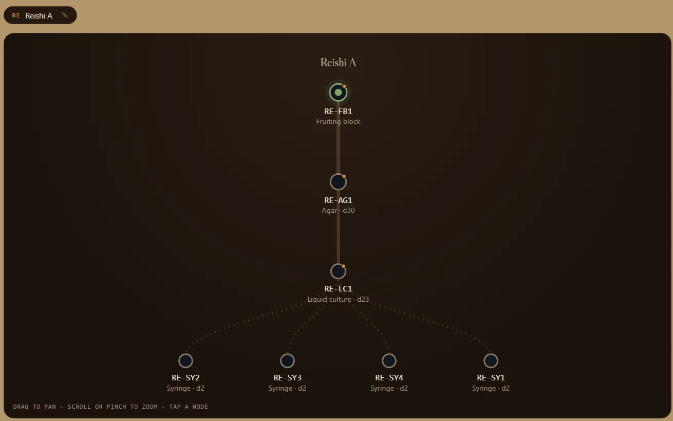 SporeDesk lineage tree screen